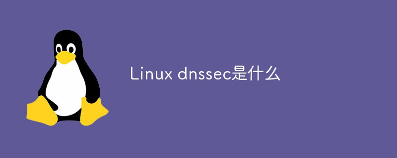 Linux dnssec是什么