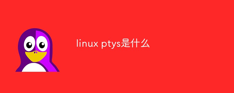 linux ptys是什么