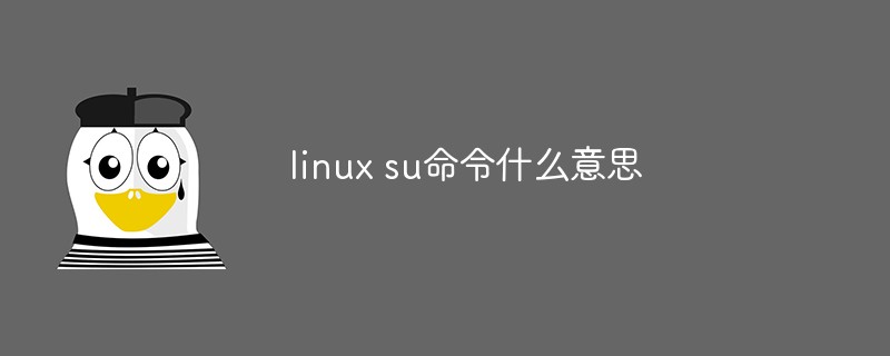 linux su命令什么意思