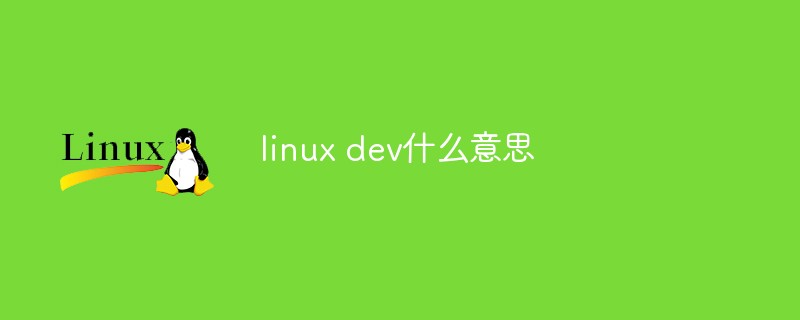 linux dev什么意思