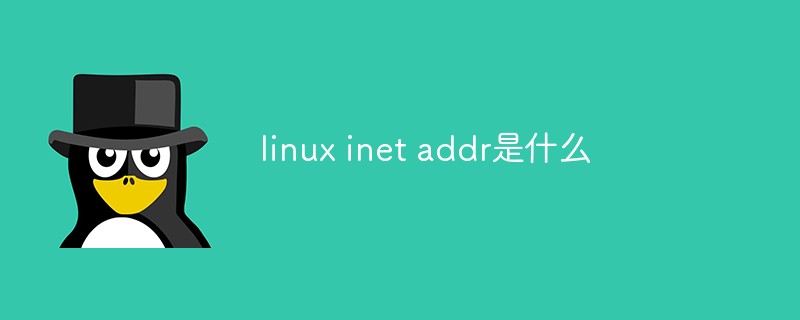 linux inet addr是什么