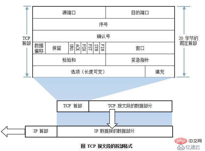 计算机网络基础知识点有哪些