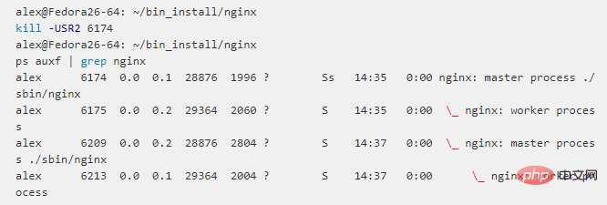 nginx信号集实例分析