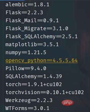 Python怎么快速生成本项目的requeirments.txt