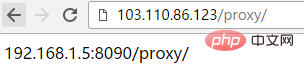 nginx proxy_pass反向代理配置实例分析