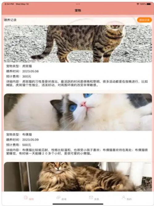 猫猫喂养记录日志精简版