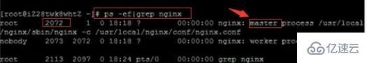 Linux系统中怎么启动nginx