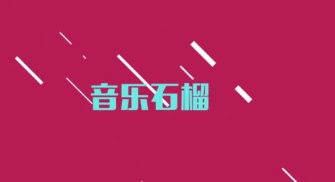 花豹影视精简版