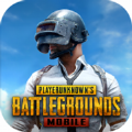 pubg国际服新版