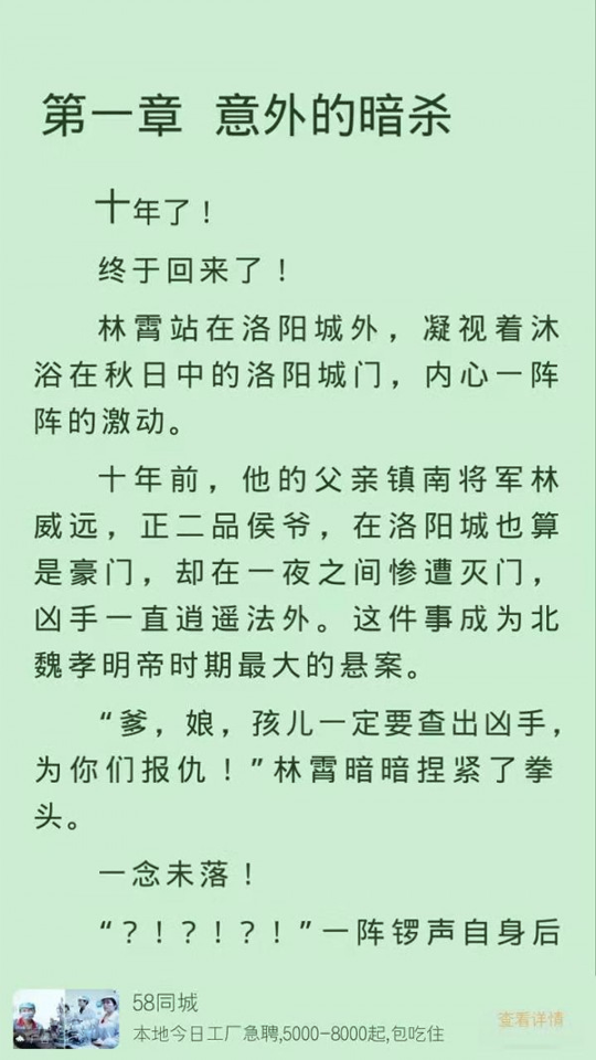 小说派