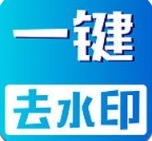 视频无痕去水印新版