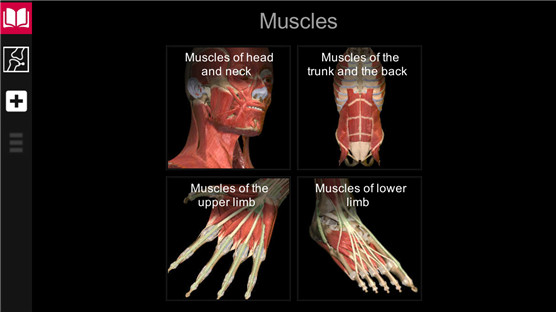 AnatomyLearning完整版