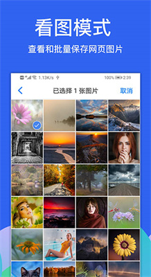 alook浏览器手机版截图3