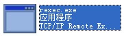 rexec.exe