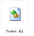 packet.dll