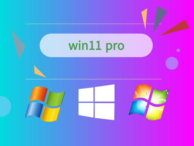 win11 pro