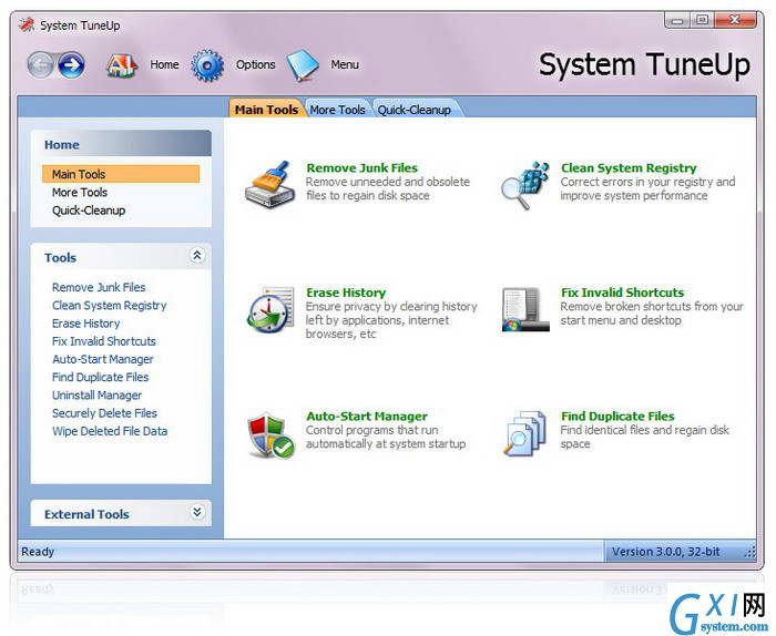 Acelogix System TuneUp