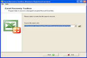 Excel Recovery Toolbox