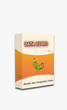 Data Lizard