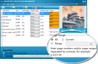 Vibosoft PDF to Word Converter