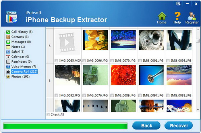 iPubsoft iPhone Backup Extractor