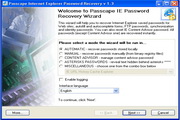 Internet Explorer Password Recovery