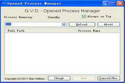 Opened Process Manager
