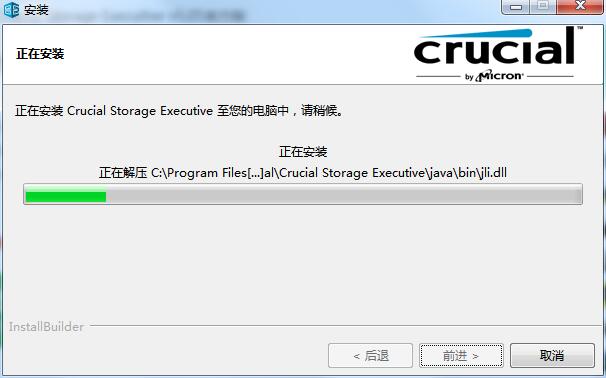 Crucial Storage Executive