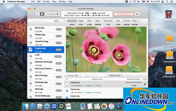 Duplicate Manager Pro Mac版