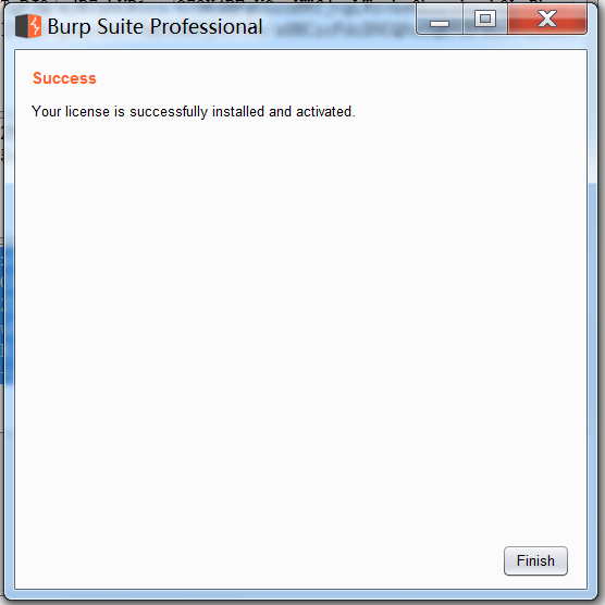 Burpsuite