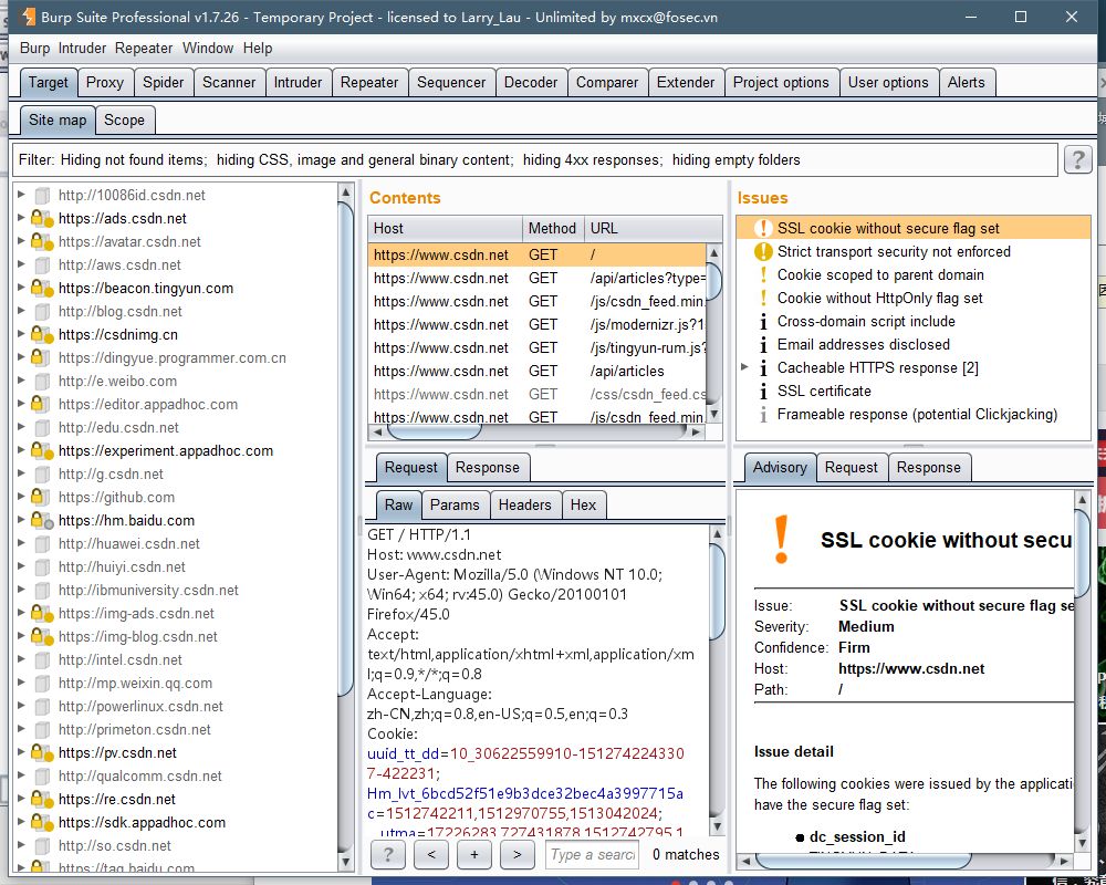 Burpsuite