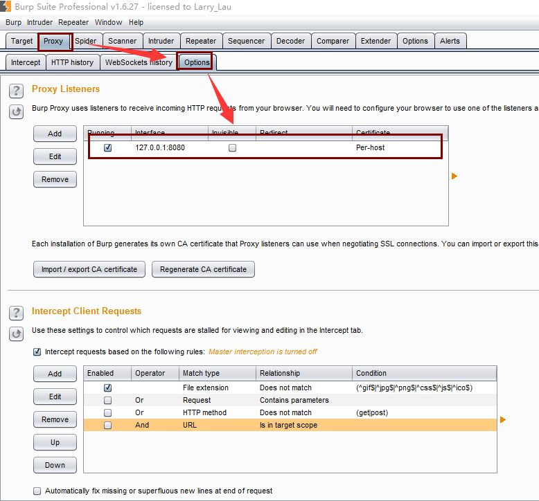 Burpsuite