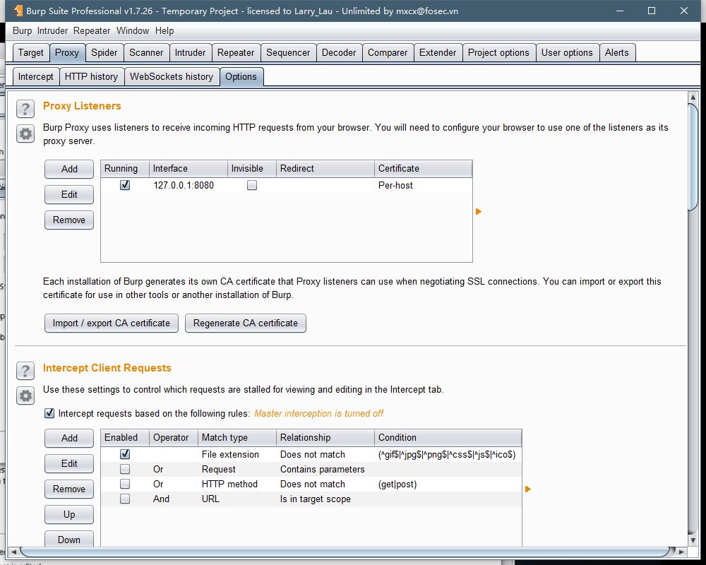 Burpsuite