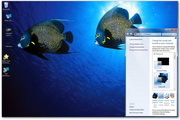 Ocean Life Windows Theme