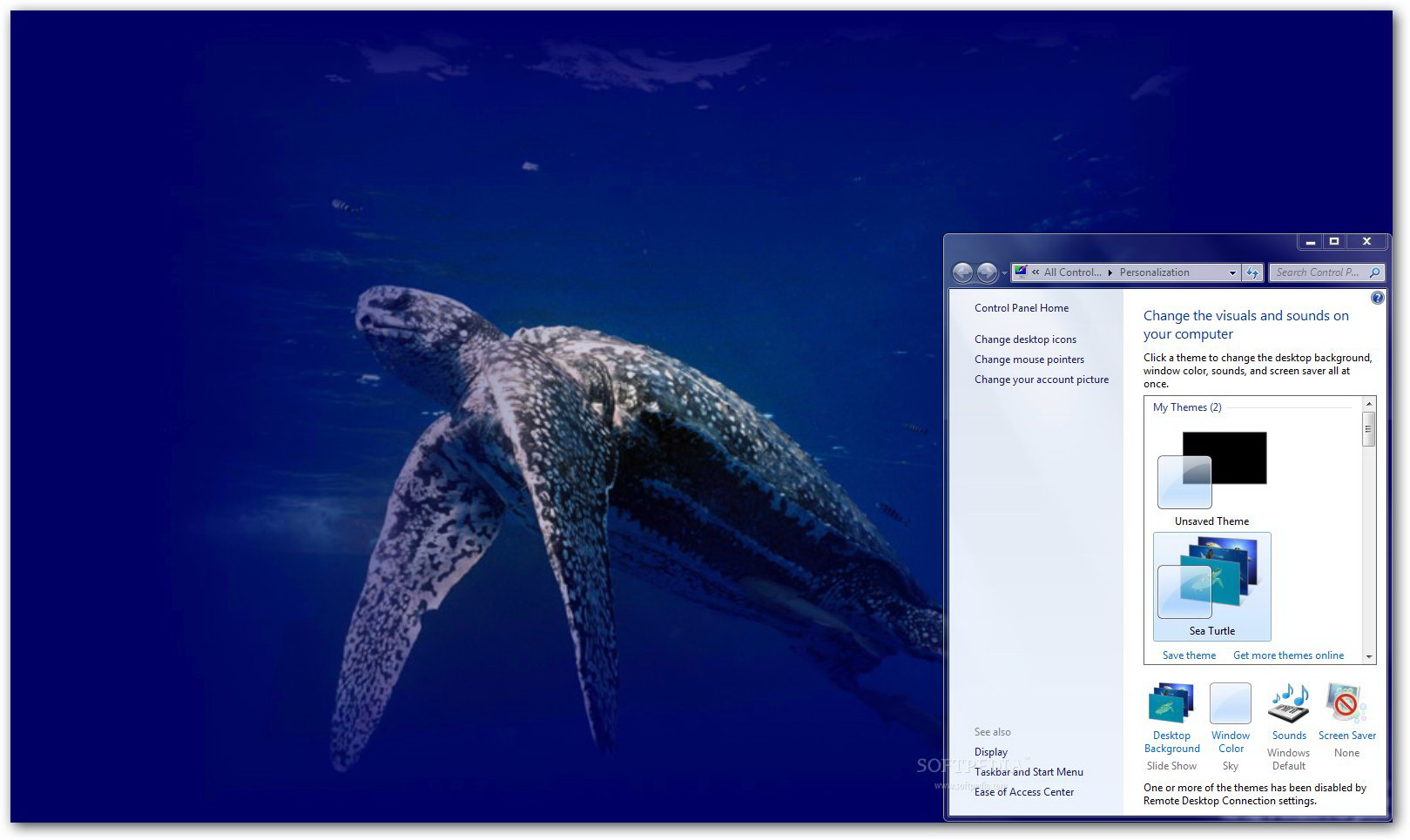 Sea Turtle Windows Theme