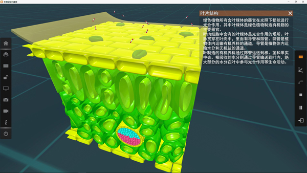 矩道高中生物VR3D虚拟仿真实验室(演示版)