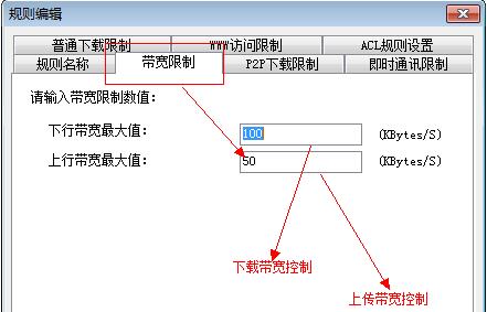 P2P终结者