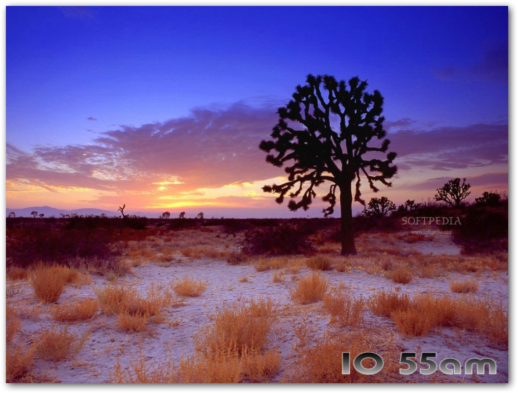 Hot Deserts Free Screensaver