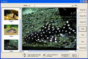 GOGO Image Viewer Lite ActiveX Control