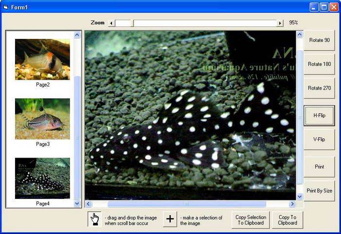 GOGO Image Viewer Lite ActiveX Control