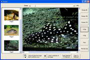 X360 Tiff Image & Fax Viewer ActiveX Control