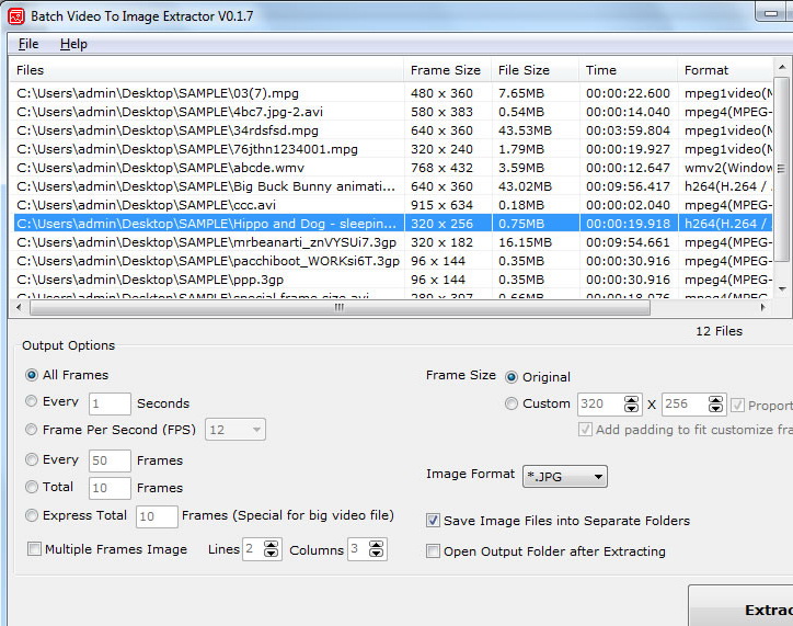 Batch Video To Image Extractor