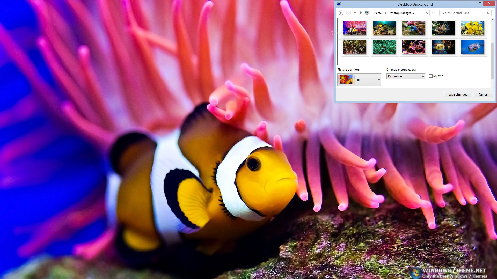 Coral Fish Windows 7 Theme