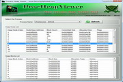 Proc Heap Viewer