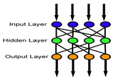 Feed Forward Neural Network