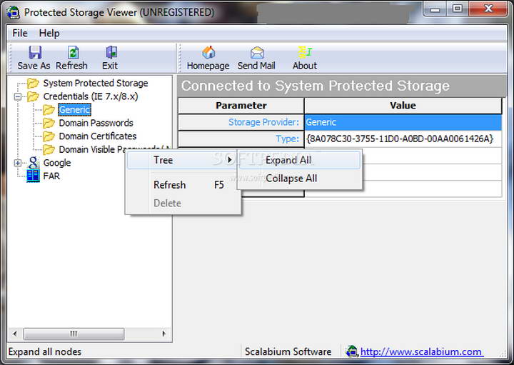 Protected Storage viewer