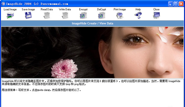 ImageHide