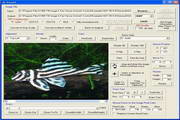 X360 Exif & Tiff Tag Viewer ActiveX OCX