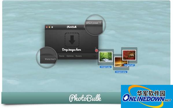 photobulk