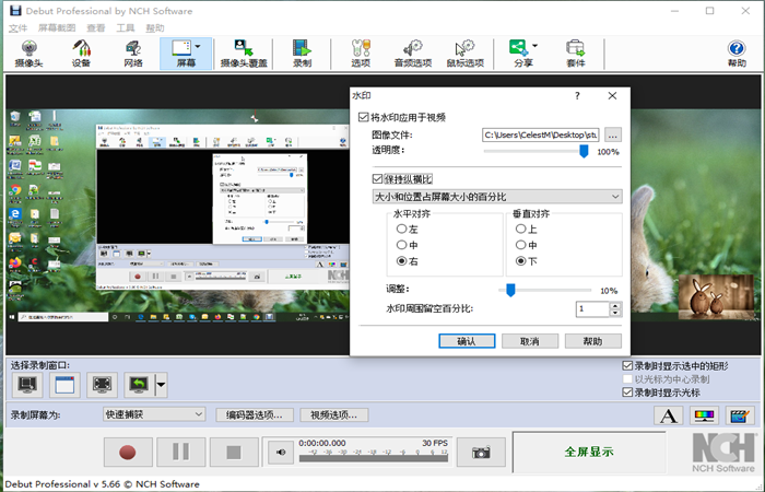 NCH Debut视频录制和屏幕捕捉录屏截图软件